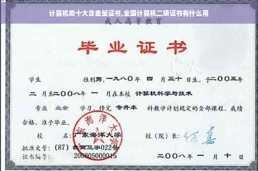 计算机类十大含金量证书,全国计算机二级证书有什么用