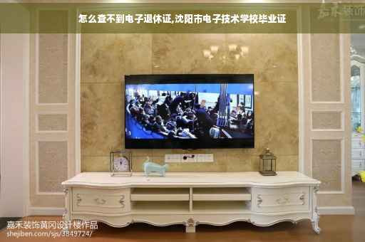 怎么查不到电子退休证,沈阳市电子技术学校毕业证