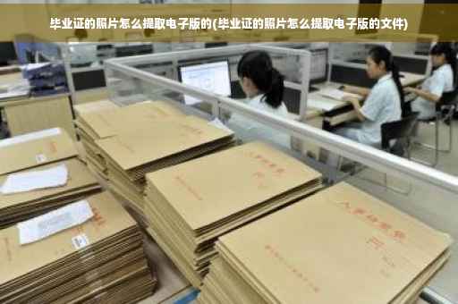 毕业证的照片怎么提取电子版的(毕业证的照片怎么提取电子版的文件)