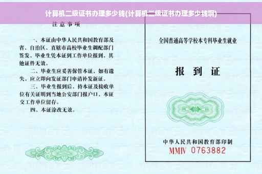 计算机二级证书办理多少钱(计算机二级证书办理多少钱啊)