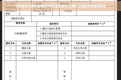学校考的计算机应用能力考试证书是什么级别,计算机五级有何职业