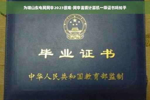 为啥山东电网网申2023很难-网申需要计算机一级证书吗知乎
