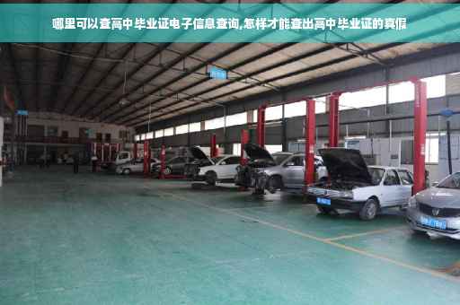 哪里可以查高中毕业证电子信息查询,怎样才能查出高中毕业证的真假 哪里可以查高中毕业证电子信息查询,怎样才能查出高中毕业证的真假
