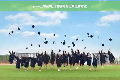 jvae二级证书,计算机网络二级证书考试