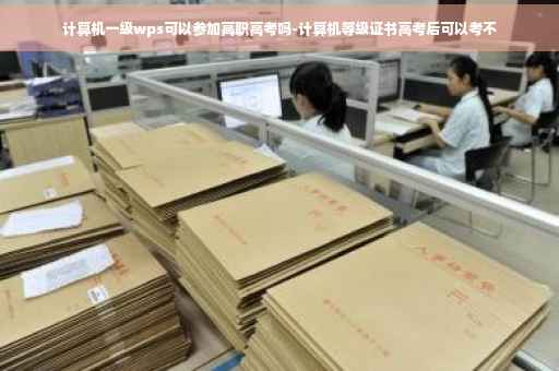 计算机一级wps可以参加高职高考吗-计算机等级证书高考后可以考不