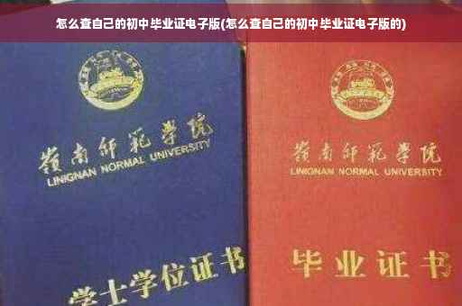 怎么查自己的初中毕业证电子版(怎么查自己的初中毕业证电子版的)