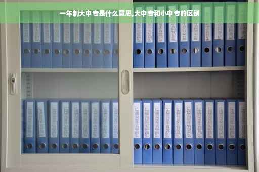 一年制大中专是什么意思,大中专和小中专的区别
