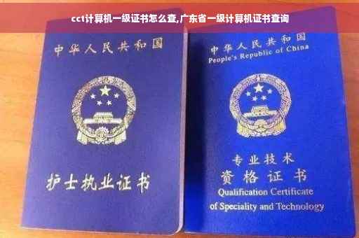cct计算机一级证书怎么查,广东省一级计算机证书查询
