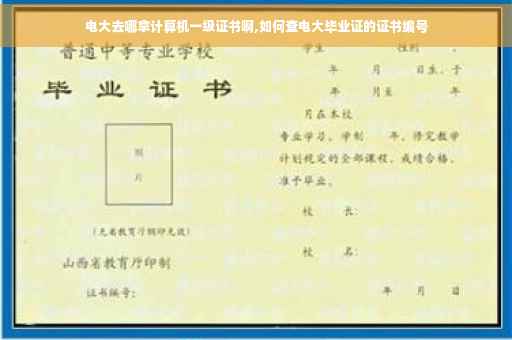 电大去哪拿计算机一级证书啊,如何查电大毕业证的证书编号