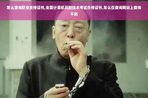 怎么查询职业资格证书,全国计算机高新技术考试合格证书,怎么在查询网站上查询不到