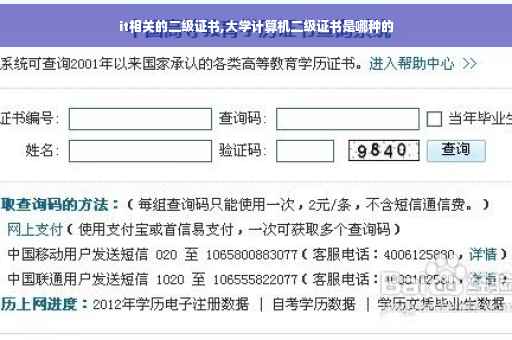 it相关的二级证书,大学计算机二级证书是哪种的