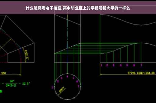 什么是高考电子档案,高中毕业证上的学籍号和大学的一样么