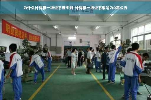 为什么计算机一级证书查不到-计算机一级证书编号为0怎么办