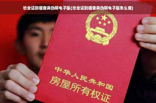 毕业证到哪查真伪啊电子版(毕业证到哪查真伪啊电子版怎么查)