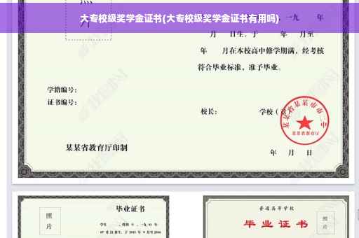 大专校级奖学金证书(大专校级奖学金证书有用吗)