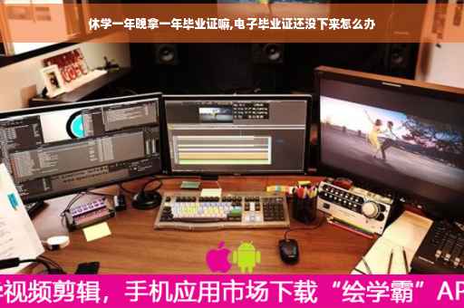 休学一年晚拿一年毕业证嘛,电子毕业证还没下来怎么办 休学一年晚拿一年毕业证嘛,电子毕业证还没下来怎么办