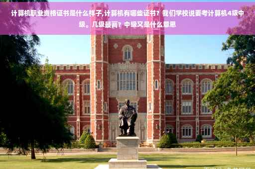 计算机职业资格证书是什么样子,计算机有哪些证书？我们学校说要考计算机4级中级。几级最高？中级又是什么意思