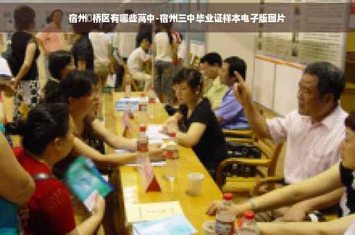 宿州埇桥区有哪些高中-宿州三中毕业证样本电子版图片