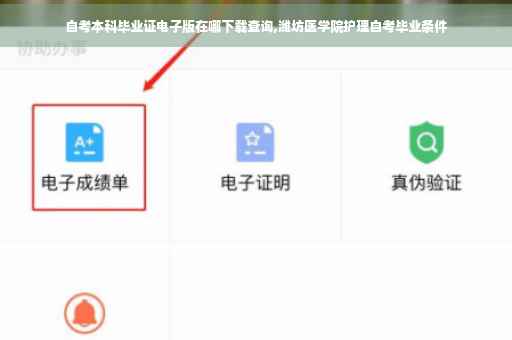 自考本科毕业证电子版在哪下载查询,潍坊医学院护理自考毕业条件