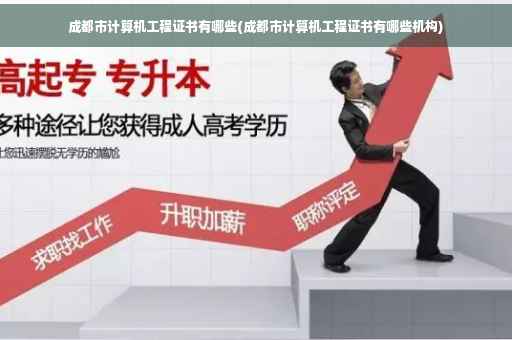 成都市计算机工程证书有哪些(成都市计算机工程证书有哪些机构)