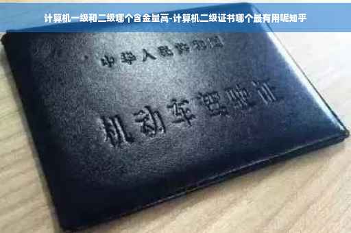 计算机一级和二级哪个含金量高-计算机二级证书哪个最有用呢知乎