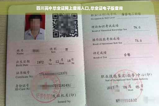 四川高中毕业证网上查询入口,毕业证电子版查询