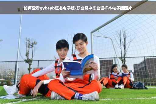 如何查看gybsyb证书电子版-职业高中毕业证样本电子版图片