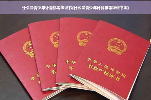 什么是青少年计算机等级证书(什么是青少年计算机等级证书呢)