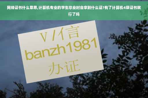 网络证书什么意思,计算机专业的学生毕业时会拿到什么证?有了计算机4级证书就行了吗