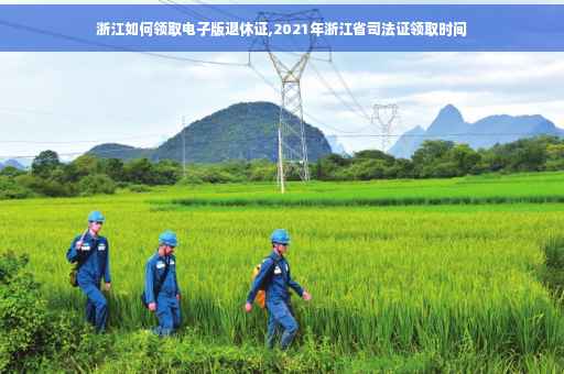 浙江如何领取电子版退休证,2021年浙江省司法证领取时间