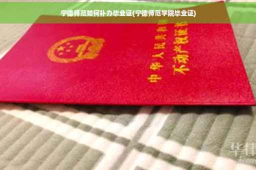 宁德师范如何补办毕业证(宁德师范学院毕业证)