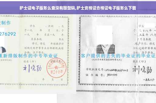 护士证电子版怎么查没有图型码,护士资格证合格证电子版怎么下载