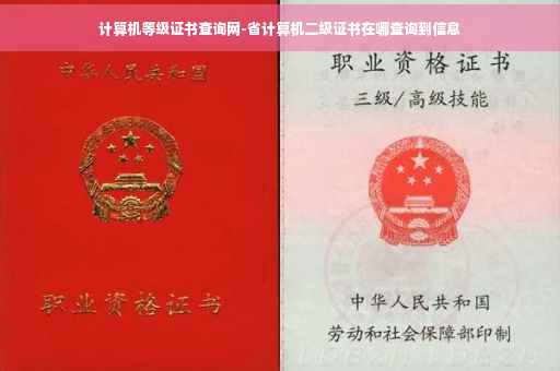 计算机等级证书查询网-省计算机二级证书在哪查询到信息 计算机等级证书查询网-省计算机二级证书在哪查询到信息
