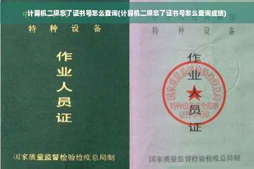 计算机二级忘了证书号怎么查询(计算机二级忘了证书号怎么查询成绩)