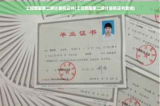 工信部国家二级计算机证书(工信部国家二级计算机证书查询)