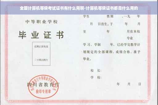 全国计算机等级考试证书有什么用啊-计算机等级证书都是什么用的