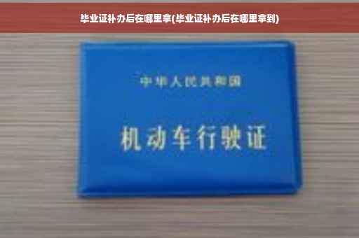 毕业证补办后在哪里拿(毕业证补办后在哪里拿到)