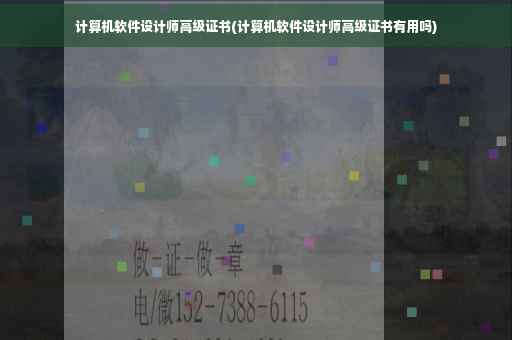 计算机软件设计师高级证书(计算机软件设计师高级证书有用吗)