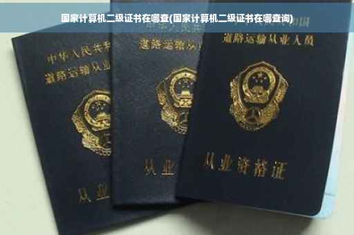 国家计算机二级证书在哪查(国家计算机二级证书在哪查询) 国家计算机二级证书在哪查(国家计算机二级证书在哪查询)