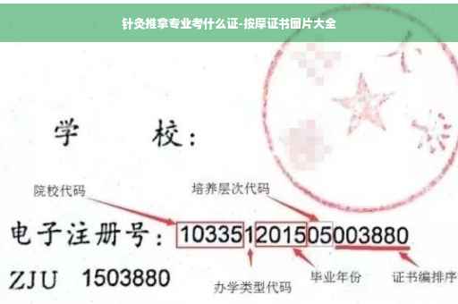 针灸推拿专业考什么证-按摩证书图片大全