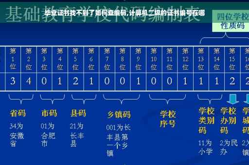 毕业证书找不到了如何查编码,计算机二级的证书编号在哪