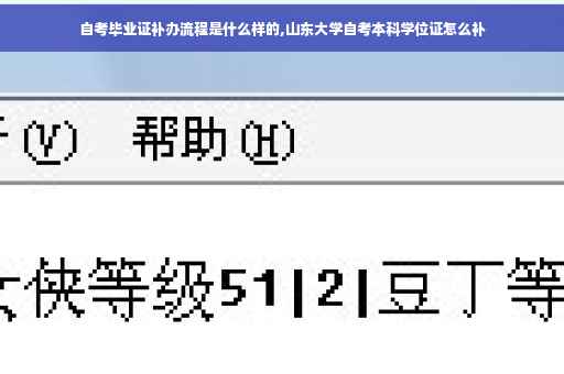 自考毕业证补办流程是什么样的,山东大学自考本科学位证怎么补