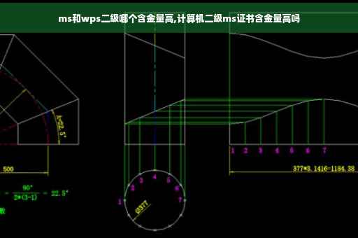 ms和wps二级哪个含金量高,计算机二级ms证书含金量高吗