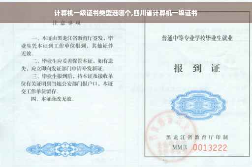 计算机一级证书类型选哪个,四川省计算机一级证书
