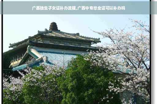 广西独生子女证补办流程,广西中专毕业证可以补办吗