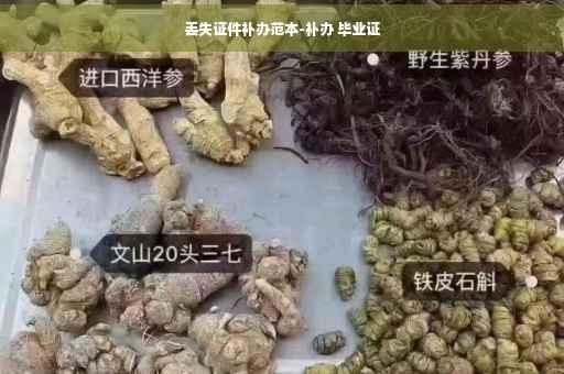 丢失证件补办范本-补办 毕业证