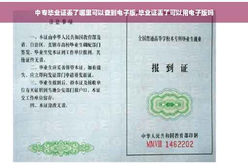 中专毕业证丢了哪里可以查到电子版,毕业证丢了可以用电子版吗