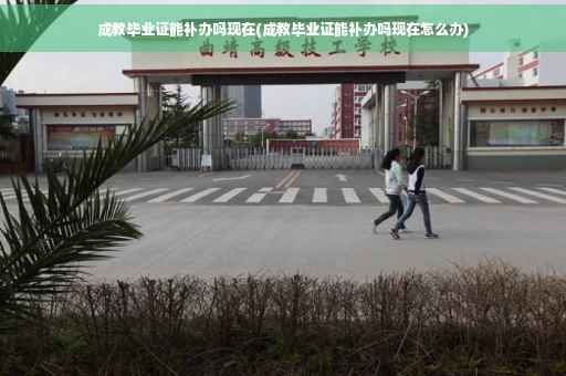 成教毕业证能补办吗现在(成教毕业证能补办吗现在怎么办)