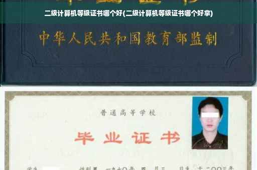 二级计算机等级证书哪个好(二级计算机等级证书哪个好拿)