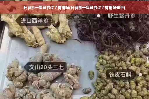 计算机一级证书过了有用吗(计算机一级证书过了有用吗知乎)